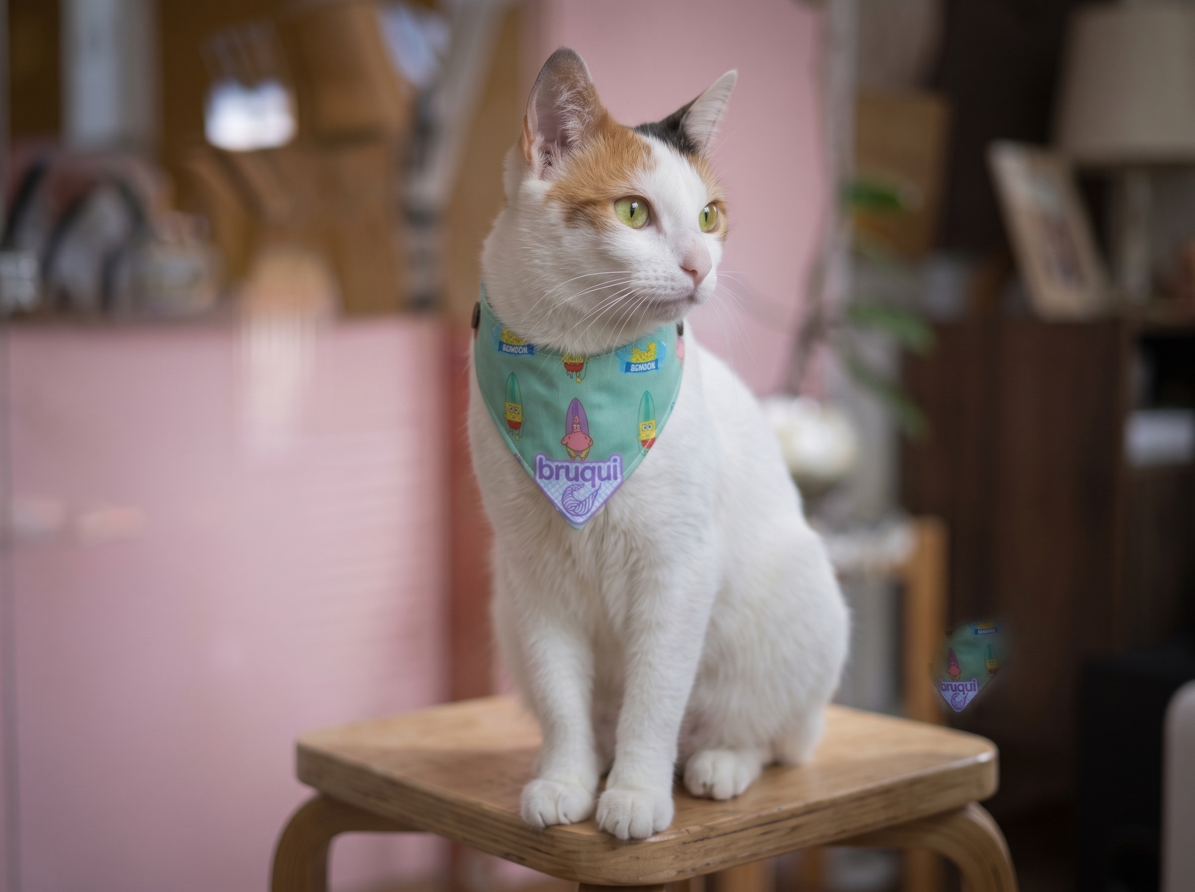 Pañoleta para gato "Bob esponja" — foto 2