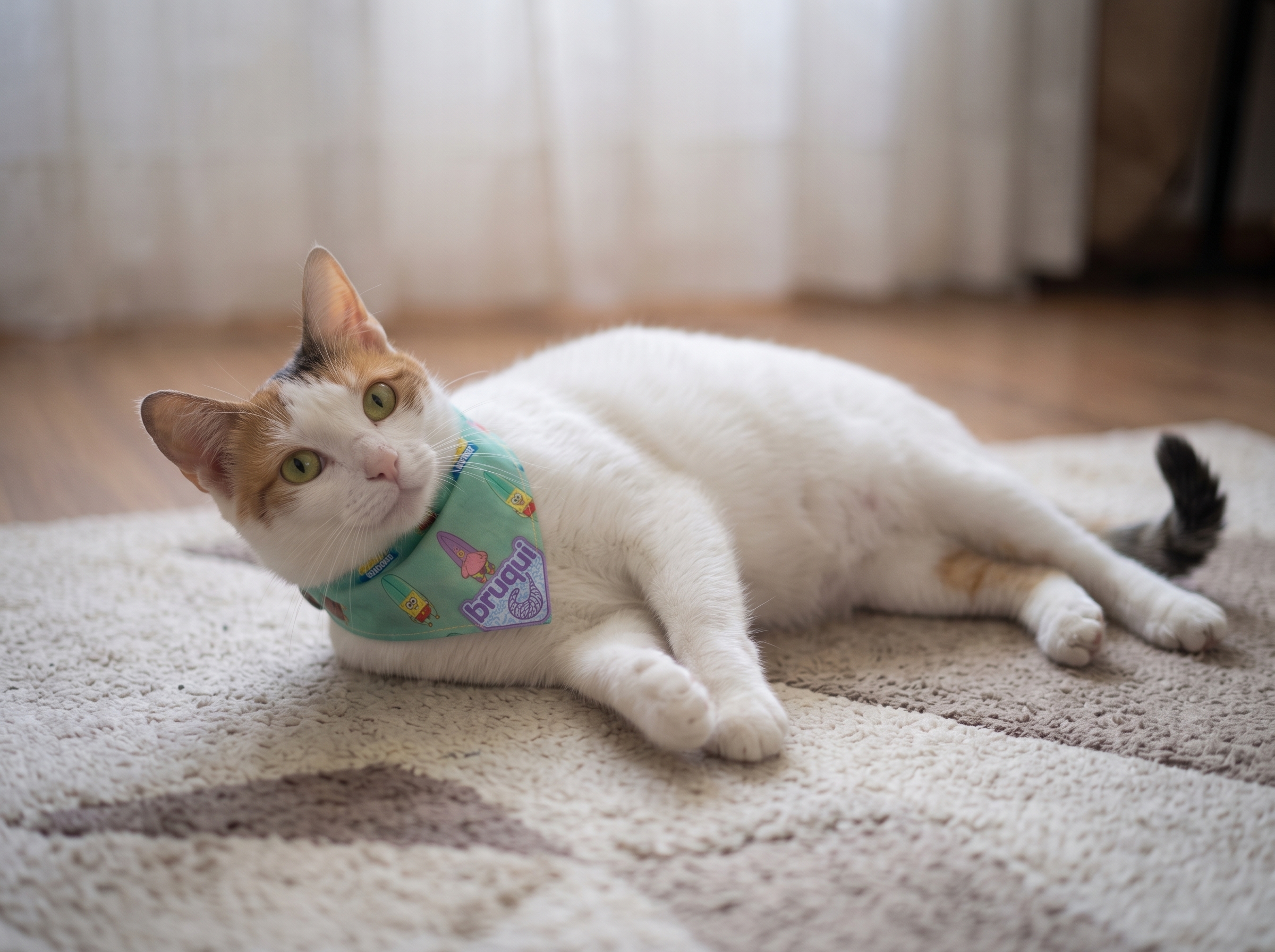 Pañoleta para gato "Bob esponja"