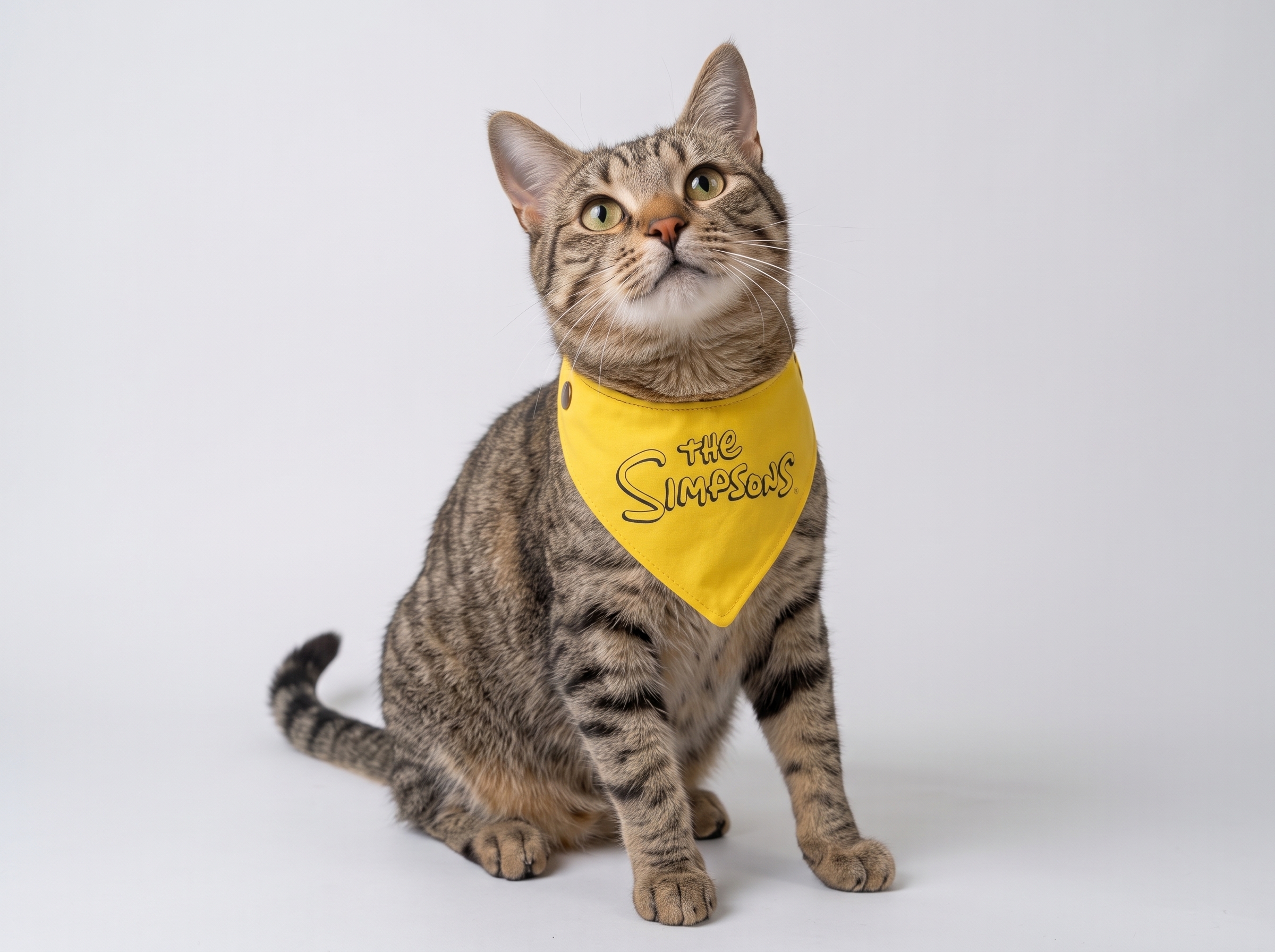Pañoleta para gato "Los Simpsons"